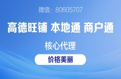 品牌连锁店选择指南：阿里本地通VS高德旺铺核心对比